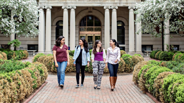 (2) Bachelor’s, Master’s, Doctorate and More